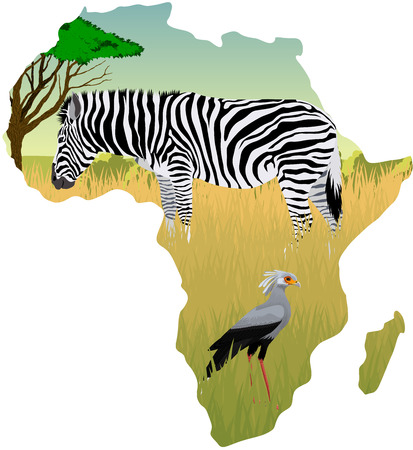 African savannah with zebra and secretary bird - vector illustrationのイラスト素材