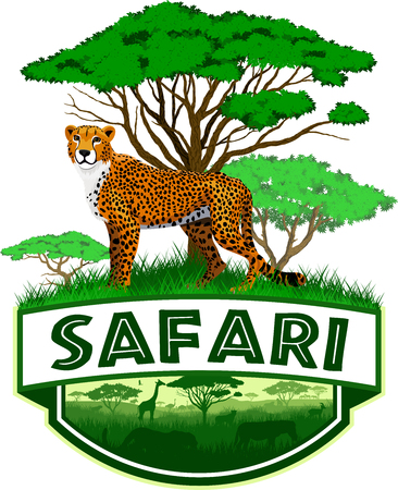 African Savannah emblem with cheetah, vector illustration.のイラスト素材