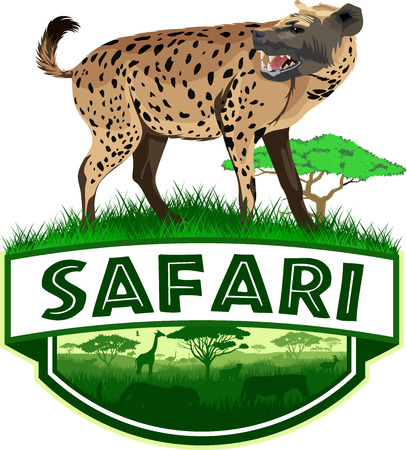 vector african savannah safari emblem with spotted hyenaのイラスト素材