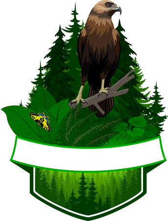 vector woodland emblem with hawk and butterflyのイラスト素材