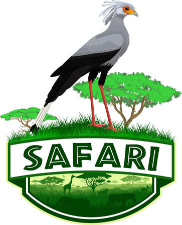 vector african savannah safari emblem with bird (Sagittarius serpentarius)のイラスト素材