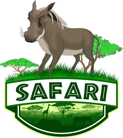 Vector African Savannah emblem with common warthog illustration.のイラスト素材