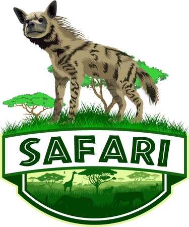 vector african savannah safari emblem with striped hyenaのイラスト素材