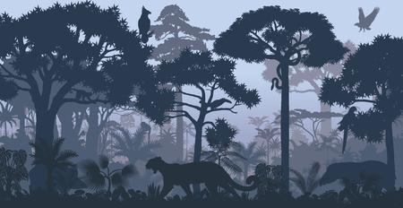 Vector evening tropical rain forest jungle background with jaguar, harpy, monkey, parrot, toucan, anaconda and boar.のイラスト素材
