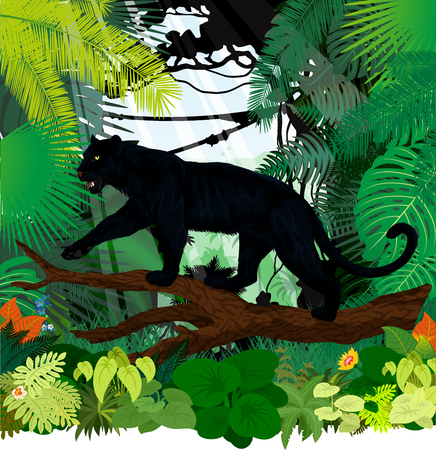 vector black panther leopard jaguar in jungle rainforestのイラスト素材