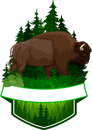 vector woodland emblem with brown zubr buffalo bisonのイラスト素材