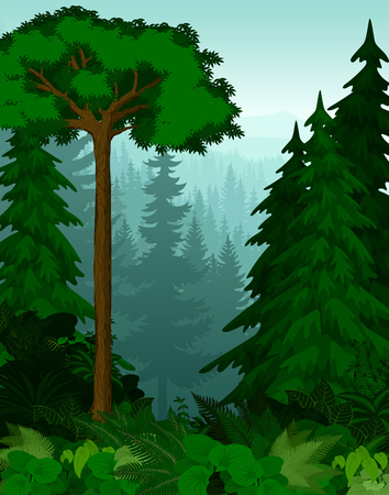woodland green forest treesのイラスト素材