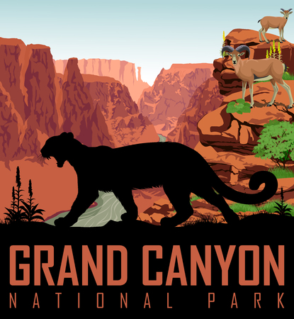 Vector Colorado river in Grand Canyon National Park with mountain lion and bighorn sheepsのイラスト素材
