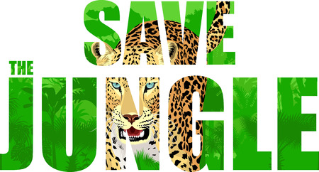 Vector tropical rain forest illustration with leopard and Save the jungle textのイラスト素材