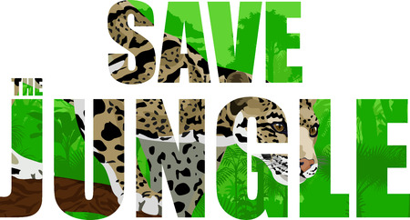 Vector tropical rainforest illustration with clouded leopardのイラスト素材