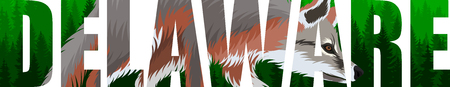 vector Delaware - American state word with gray fox (Urocyon cinereoargenteus)のイラスト素材