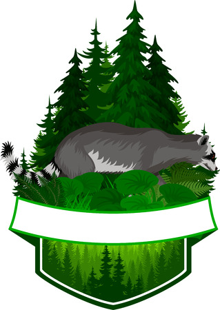 vector woodland emblem with racoonのイラスト素材