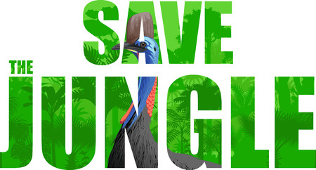 Vector tropical rainforest illustration with cassowary (Save the jungle)のイラスト素材