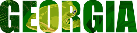 vector Georgia - American state word with green tree frogのイラスト素材