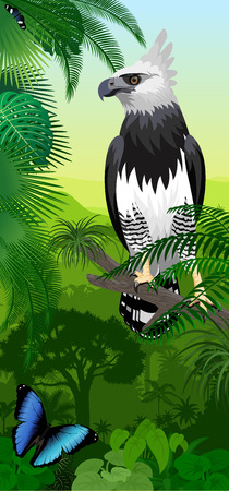 Vector Jungle rainforest vertical baner with harpy eagle and morpho butterfliesのイラスト素材