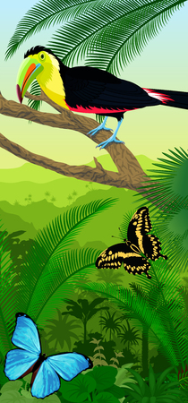 Vector Jungle rainforest vertical baner with rainbow-billed toucan and morpho butterfliesのイラスト素材