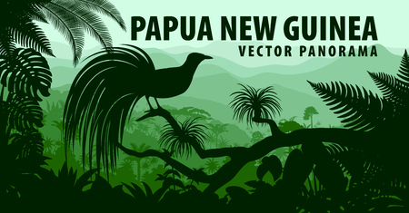 vector panorama of Papua New Guinea with lesser bird of paradiseのイラスト素材