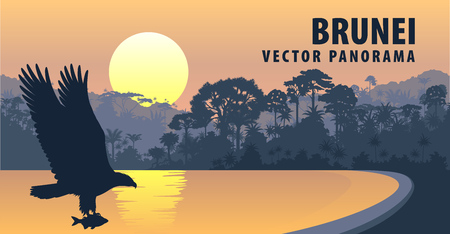 vector panorama of Brunei Darussalam with white bellied sea eagleのイラスト素材