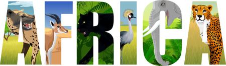 vector Africa illustration with elephant, spotted hyena, crowned crane, gazelle, cheetah and black pantherのイラスト素材