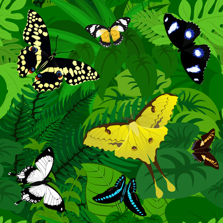 Seamless african tropical rainforest jungle background with butterfliesのイラスト素材