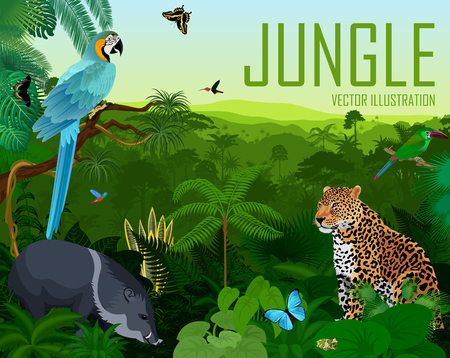 Vector brazil rainforest jungle forest with jaguar, parrot blue macaw ara, pig peccary, hummingbirds and butterfliesのイラスト素材