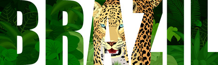 vector Brazil illustration with jaguarのイラスト素材