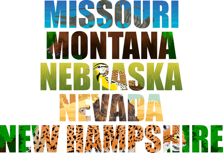 vector states of america with words - Missouri, Montana, Nebraska, Nevada, New Hempshireのイラスト素材
