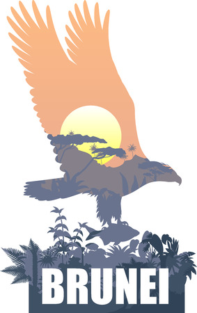 vector Brunei with white bellied sea eagleのイラスト素材