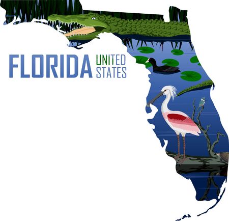 vector Florida - American state map with alligator, spoonbill, coot and turtleのイラスト素材
