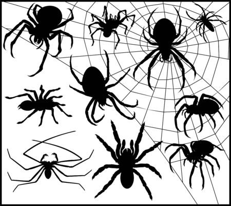 Vector set of Spider Silhouette Collection on webのイラスト素材