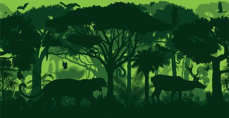 Vector horizontal Amazonian seamless tropical rainforest jungle forest backgroundのイラスト素材