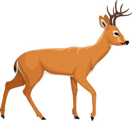 vector white tiled deer illustrationのイラスト素材