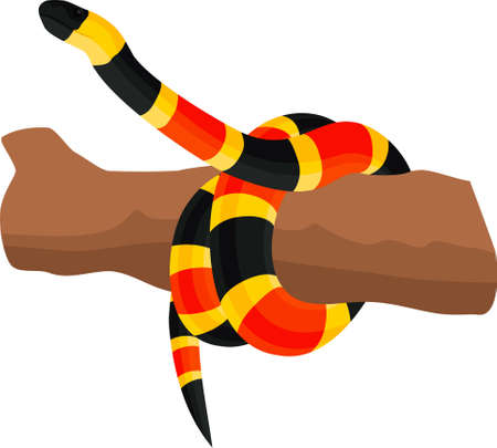 vector Eastern coral snake illustrationのイラスト素材