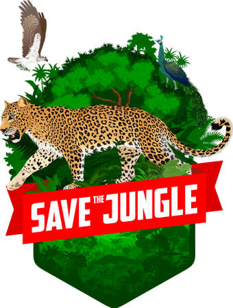 vector jungle rainforest emblem with leopard, osprey and Green peafowlのイラスト素材
