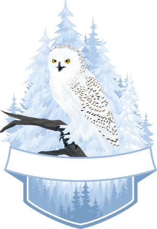 vector woodland emblem with arctic snowy owlのイラスト素材