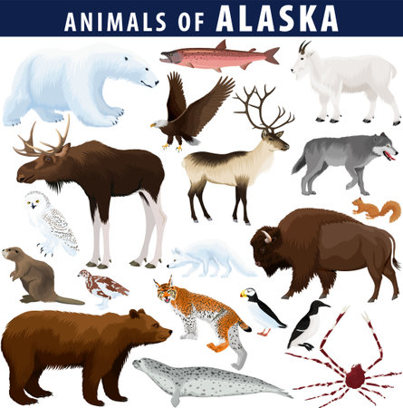 vector set - animals of Alaska: polar bear, bald eagle, moose, lynx, beaver, crab, fox, owl, seal, bison, bear, mountain goat, reindeer, wolfのイラスト素材