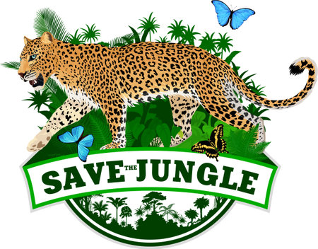 vector tropical jungle rainforest emblem with jaguar and blue morpho butterflyのイラスト素材