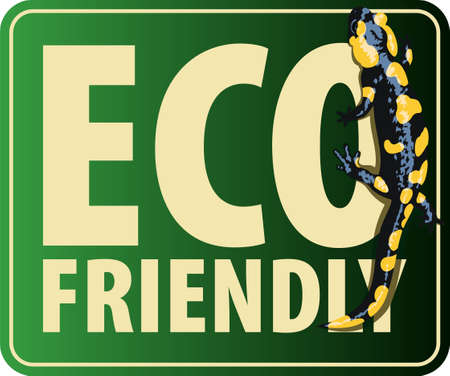 Vector Eco Sticker with European fire salamanderのイラスト素材
