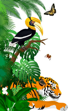 Vector jungle rainforest foliage vertical border illustration with tiger, great hornbill and butterfliesのイラスト素材