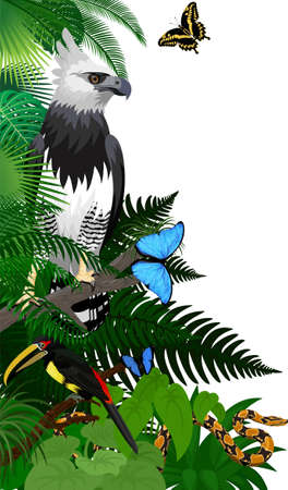 Vector jungle rainforest foliage vertical border illustration with Harpy Eagle, python, aracari toucanet and butterfliesのイラスト素材