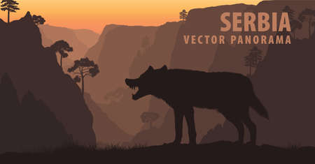 vector panorama of Serbia with gray wolf in Lazar's Canyonのイラスト素材