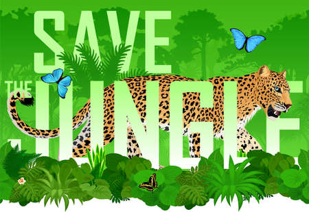Vector seamless horizontal tropical rainforest Jungle background with jaguar and blue morpho butterflyのイラスト素材