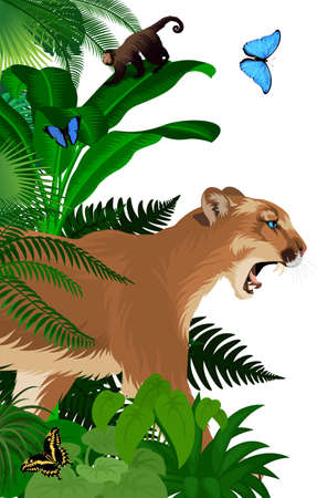 Vector jungle rainforest foliage vertical border illustration with  cougar or mountain lion, ape monkey capuchin and morpho butterflyのイラスト素材