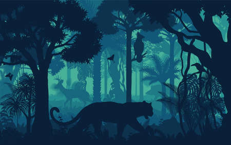 Vector evening tropical rainforest Jungle background with jaguar, harpy eagle, toucan, deer and hogのイラスト素材