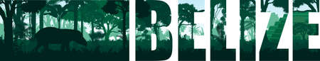 vector panorama of Belize with jungle raimforest, tapir and ancient Mayan ruinのイラスト素材