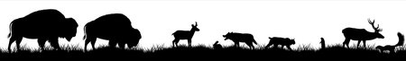 Seamless panorama of the prarie with wolf, deer, pronghorn, bobcat, skunk and brown zubr buffalo bisonsのイラスト素材