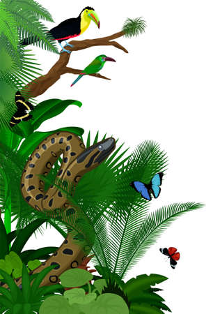 Vector jungle rainforest foliage vertical border illustration with green anaconda, crimson-rumped toucanet, rainbow-billed toucan and butterfliesのイラスト素材