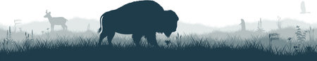 Seamless panorama of the prarie with pronghorn, kite, Prairie dog and brown zubr buffalo bisonのイラスト素材