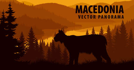 vector panorama of Macedonia with lynxのイラスト素材