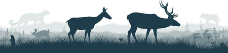 Seamless panorama of the prarie with deers, puma, rabbit, Prairie dog and gray wolfのイラスト素材